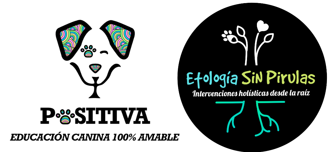 Educación canina 100% amable